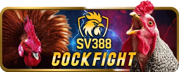 Ưu đãi chào mừng 8kbey