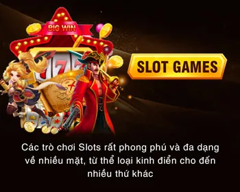 Đa dạng bộ môn